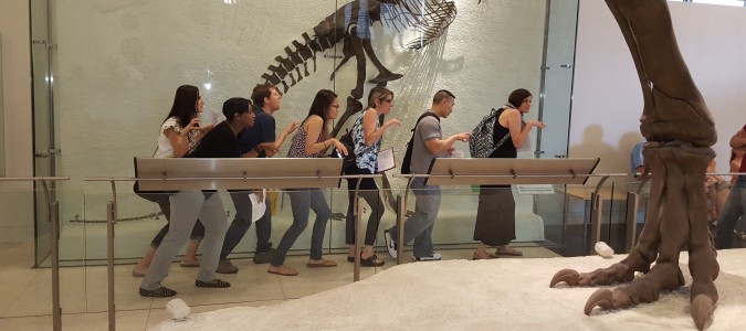 American Museum Of Natural History Nyc Scavenger Hunt American Museum Of Natural History Nyc Scavenger Hunt